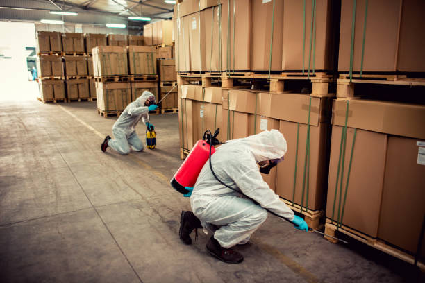 Stratford Downtown, CT Pest Control Company