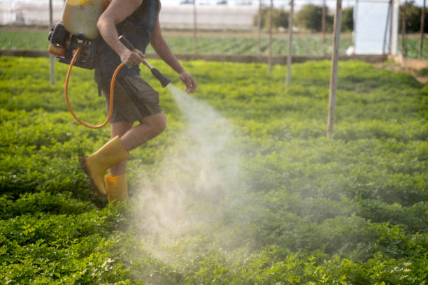 Best Best Pest Control Companies  in Stratford Downtown, CT